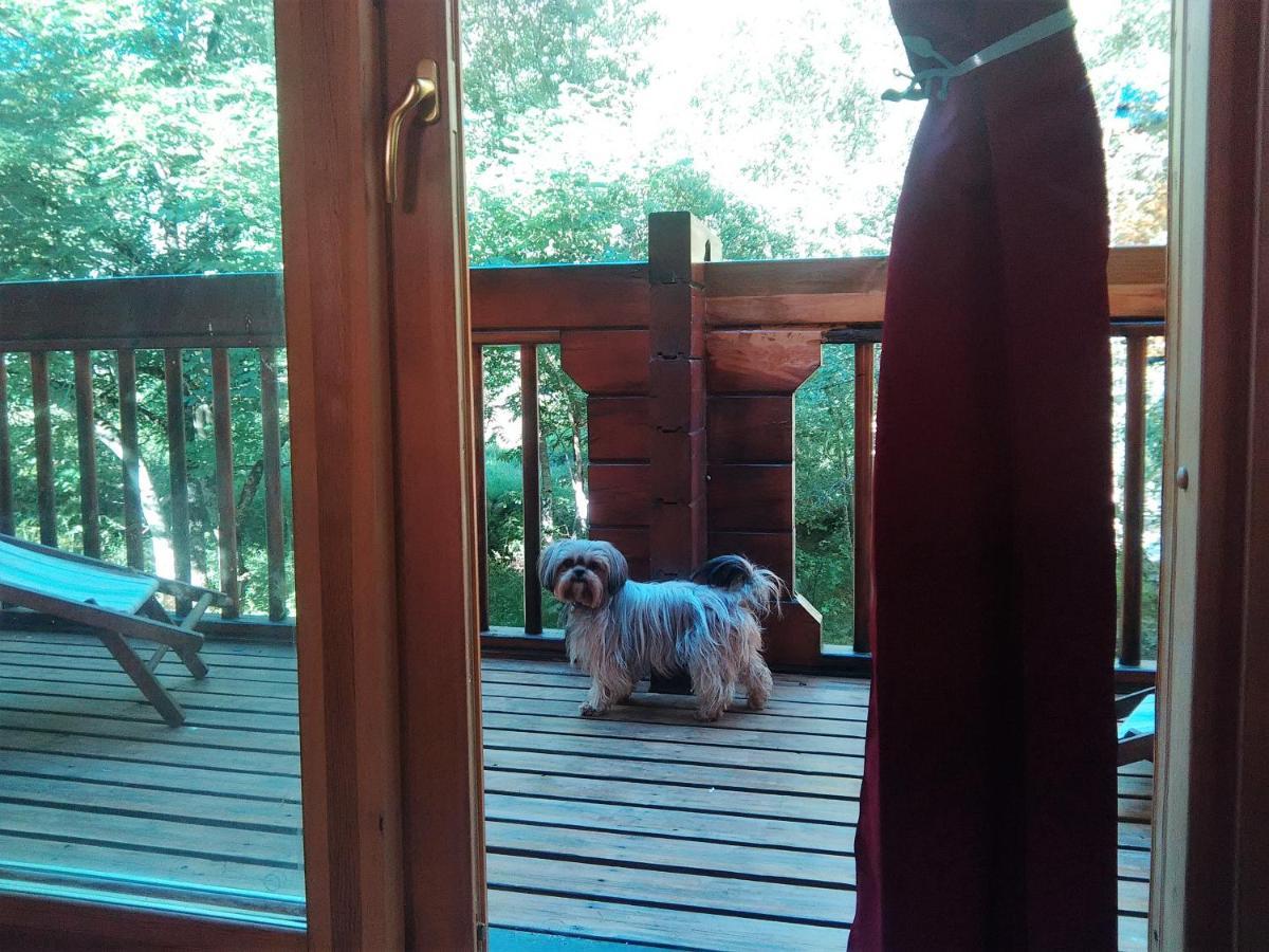 Chalet Bois Au Milieu Des Pyrénées