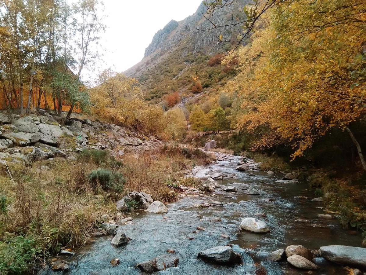 Bois Au Milieu Des Pyrénées Chalet