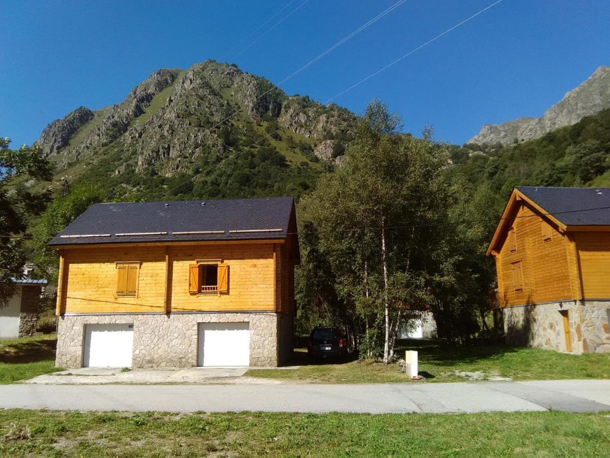 Bois Au Milieu Des Pyrénées * LʼHospitalet-près-lʼAndorre