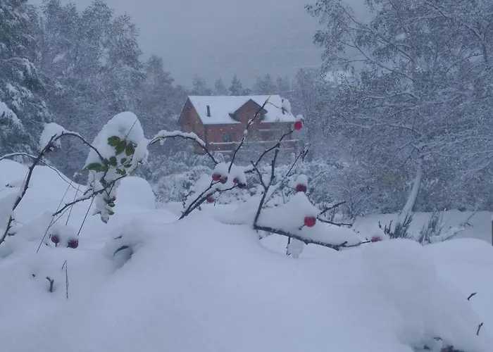 Chalet Bois Au Milieu Des Pyrenees
