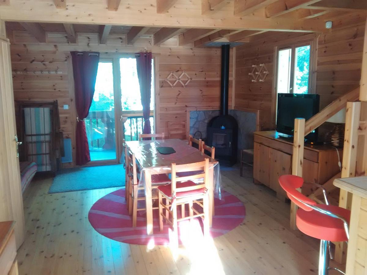 Bois Au Milieu Des Pyrenees