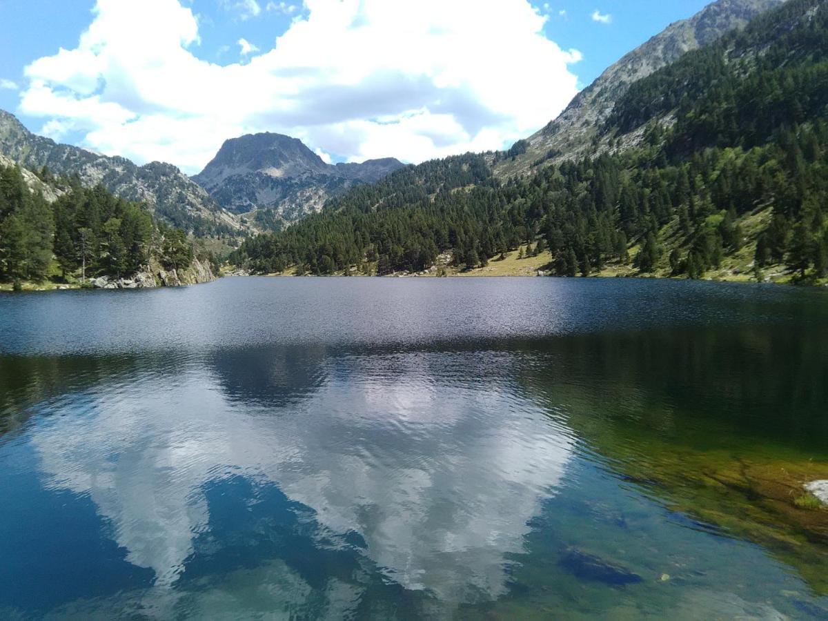 Bois Au Milieu Des Pyrenees LʼHospitalet-près-lʼAndorre